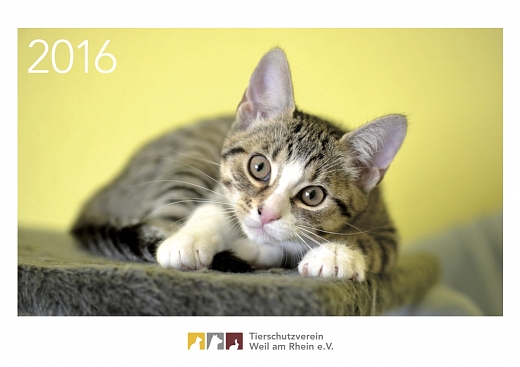 Unsere Tierheimkalender sind da!