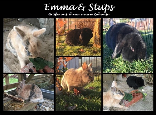 Eindrücke von Emma und Stups