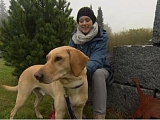 Dank Sonja von der Phönixons Schäferhundehilfe durften wir drei Hunde im Schweizer Fernsehen vorstellen. Spencer konnte dank dieser in sein Traumzuhause ziehen❤️ Mojo (auf dem Bild) wartet leider immer noch💔